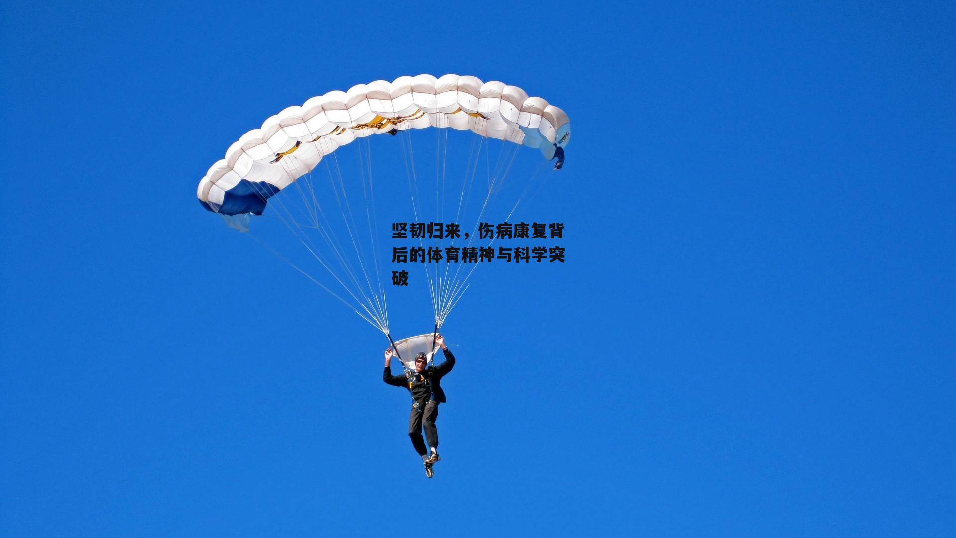 坚韧归来,伤病康复背后的体育精神与科学突破